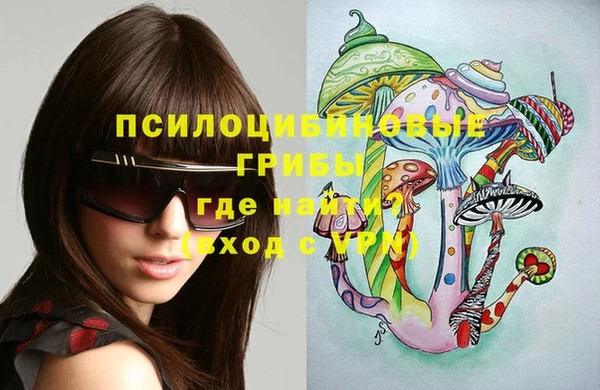 героин Няндома