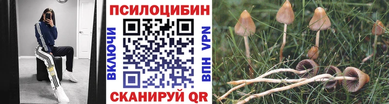 закладки  Лодейное Поле  кракен рабочий сайт  Галлюциногенные грибы Magic Shrooms 